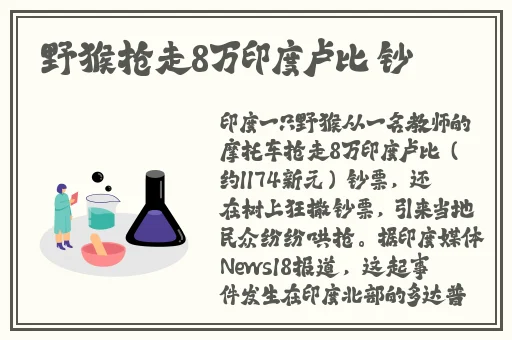 台湾MD豆传媒APP网址入口